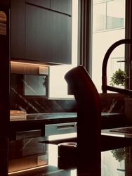 Skyline Residences (D4), Condominium #453721151